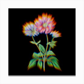 Prism Shift Hyacinth Botanical Illustration on Black n.0350 Canvas Print