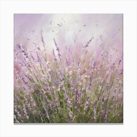 Lavender Field 6 Canvas Print