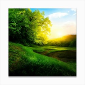 Sunset In The Forest Canvas Print