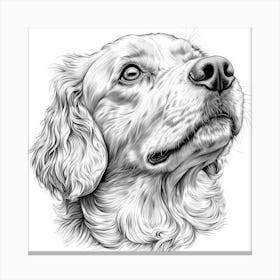 Cocker Spaniel 1 Canvas Print