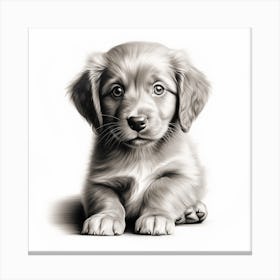 Puppy Drawing Canvas Print