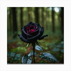 Black Rose In The Forest Canvas Print