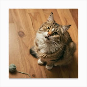 Cat With Yarn Canvas Print
