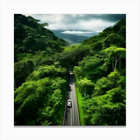 Tropical Treetop Pass Plant Foliage Trailer Texture Car Rural Season Green Pathway Aeria (4) Canvas Print