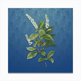 Vintage Virginia Sweetspire Botanical on Bahama Blue Pattern n.1513 Canvas Print