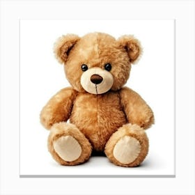 Teddy Bear 2 Canvas Print