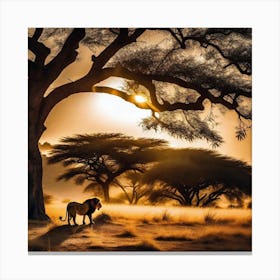 Lion Under The Tree 2 Canvas Print