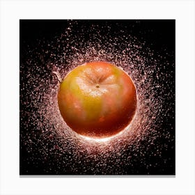 Apple Splashed With Water Canvas Print