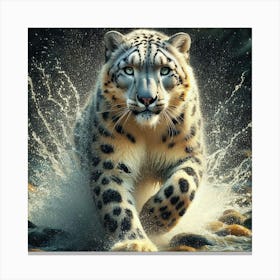 Snow Leopard Running Canvas Print
