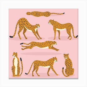 Cheetahs On Pink Square Canvas Print