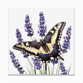 Butterfly On Lavender 2 Canvas Print