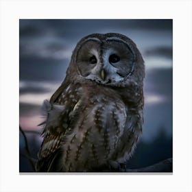 Barn Owl Canvas Print