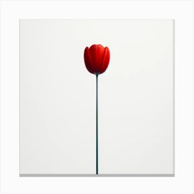 "Singular Elegance"  A solitary tulip stands tall, its crimson petals a stark contrast to the pure white background, embodying simplicity and the grace of minimalist design.  Step into the world of 'Singular Elegance', a celebration of minimalism and color. One perfect red tulip rises, a symbol of love and passion, its simplicity making it an ideal accent for modern decor. Canvas Print
