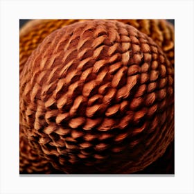 Smooth Rough Grainy Soft Hard Bumpy Textured Velvety Silky Coarse Gritty Fuzzy Knotty S (2) Canvas Print