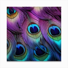 Peacock Feathers 16 Canvas Print