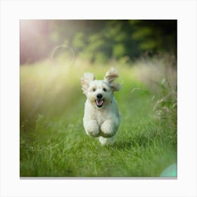 Dog Running In The Grass 1 Canvas Print