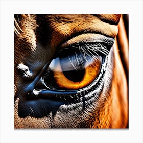 Eye Of A Horse 15 Canvas Print
