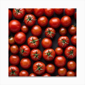 Red Tomatoes 4 Canvas Print