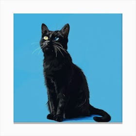 Black Cat With Blue Eyes Canvas Print