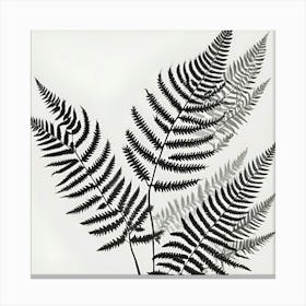 Fern Leaves Canvas Print