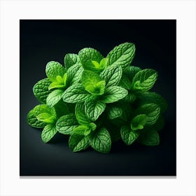 Aromatic and Refreshing: The Enchanting World of Mint, Nature's Fragrant Treasure Canvas Print