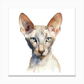 Peterbald Cat Portrait 3 Canvas Print