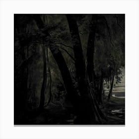 Dark Forest 2 Canvas Print