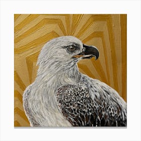 White falcon Canvas Print