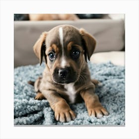 Puppy .. Canvas Print