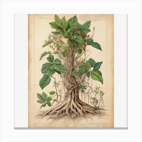 a whole plant with its roots Canvas Print
