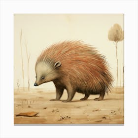 Pygmy Possum Canvas Print