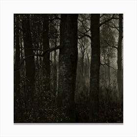 Dark Forest At Night Canvas Print