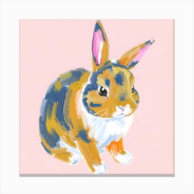 Netherland Dwarf Rabbit 01 Canvas Print