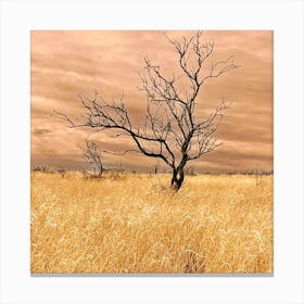 Stormy tree 2 Canvas Print