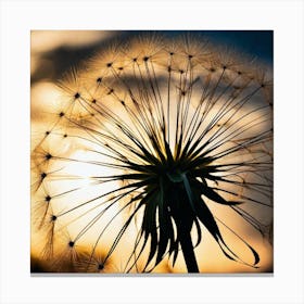 Sunset Dandelion 3 Canvas Print