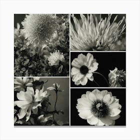 Black And White Flowers Canvas Print