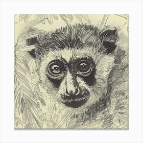 Lemur Canvas Print