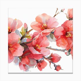 Watercolor Cherry Blossoms 3 Canvas Print