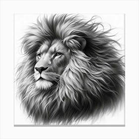 Lion Head drawing in charcoal Canvas Print