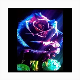 Purple Rose Canvas Print