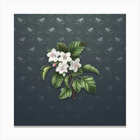 Vintage Sweet Crabapple Botanical on Slate Gray Pattern n.0325 Canvas Print