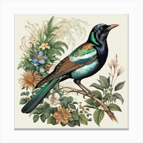 Tui Bird Canvas Print