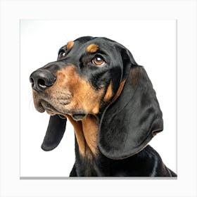 Black and Tan Coonhound Portrait Leinwandbild