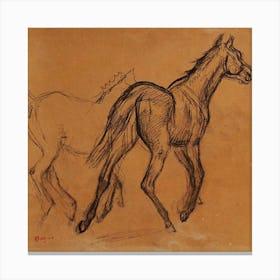 Horse Study - Edgar Degas Canvas Print