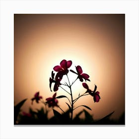 Sunset Flowers Canvas Print