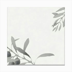 Olive Branch 1 Canvas Print