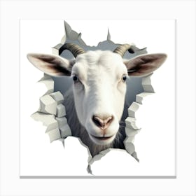 Goat Through A Wall Canvas Print