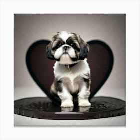 Shihtzu dog with black heart behind Canvas Print