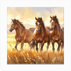 Three Horses In A Field 1 Canvas Print