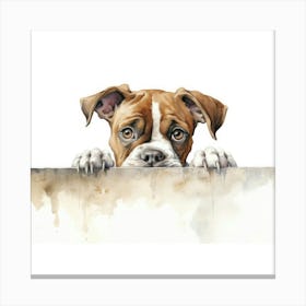 Boxer Dog 12 Canvas Print